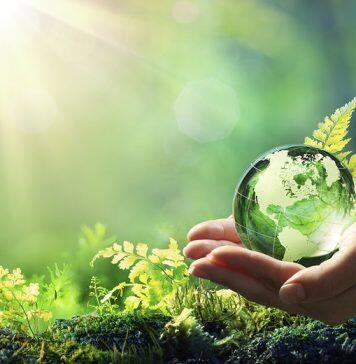 “塑料演化”小组在2020年WRIGLEY可持续发展奖比赛中摘得头奖