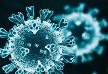 美国新冠肺炎确诊病例超1335万 纽约市准备重新开放学校