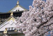 日本留学新闻篇:上千大学生因疫情辍学,日本政府决定扩大对学生支援