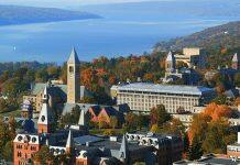 2020年寒假美国康奈尔大学CICER线上冬季科研项目报名