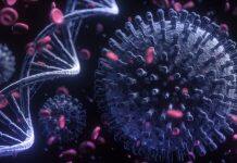 美国南加州大学新发现进一步解释新冠病毒如何攻陷免疫系统