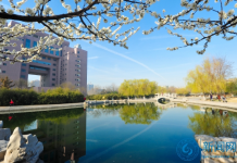 2021年山东理工大学2+2国际本科可以去新西兰留学吗?