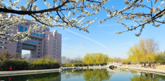 2021年山东理工大学2+2国际本科可以去新西兰留学吗?