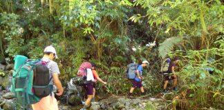 花一年时间就能拿下的新西兰商科硕士学位都在这里了!