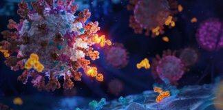 由清华大学张林琦教授领衔研发的中国首个抗新冠病毒特效药获批上市