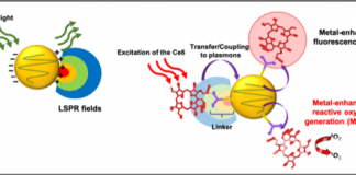 汉阳大学李东润教授开发出治疗脑肿瘤的新平台