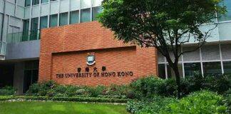 香港大学本科生招生讲座将于11月4日网上举办