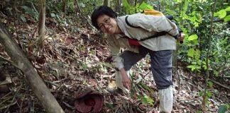 蔡秀君博士:致力解决环境挑战,实现人与自然和谐共生