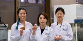 新国大科研团队发现 食用豆渣制成的饼干有助于改善肠道健康