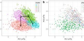 Cell子刊: 西浦团队开发单细胞RNA修饰数据的分析模型