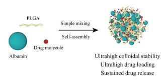 新型纳米颗粒有望提升药物疗效并减少副作用